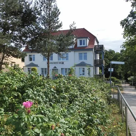 Apartment Schwarzer Baer Whg Baer 03